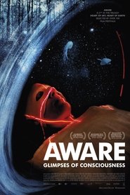 Aware: Glimpses of Consciousness