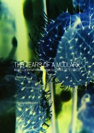 Poster The Tears of a Mudlark 2018