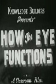 Poster How the Eye Functions 1941