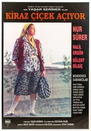 Kiraz Çiçek Açıyor) Kiraz Çiçek Açıyor (1990)