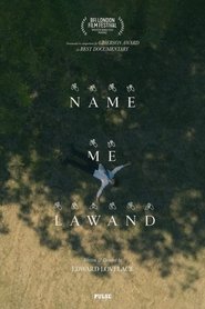 Name Me Lawand (2023) Cliver HD - Legal - ver Online & Descargar