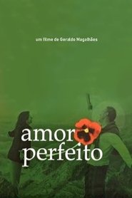 Poster Amor Perfeito 2005