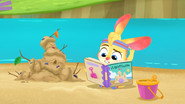 Zigzag’s Book Worries