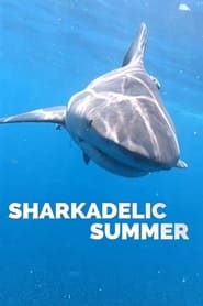 Sharkadelic Summer
