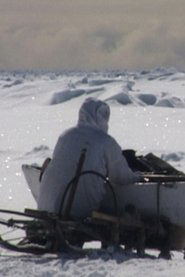 Poster Seal Hunt 2001