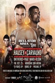 Poster Bellator 144: Halsey vs. Carvalho 2015