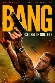 Image Bang - Storm of Bullets