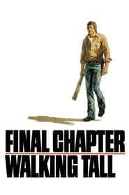 Poster Final Chapter---Walking Tall 1977