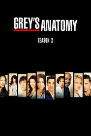 Grey’s Anatomy: Season 2