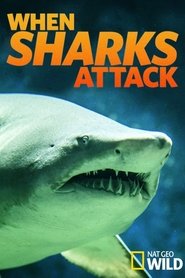 National Geographic : Quand Les Requins Attaquent 2004 Безплатен неограничен достъп