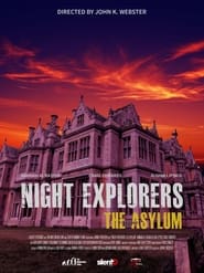 Night Explorers: The Asylum постер