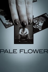 Pale Flower постер