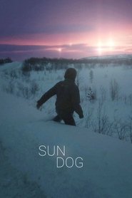 Sun Dog Sun Dog
