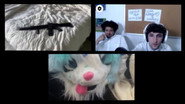we hosted a discord event where the ugliest pet wins $500