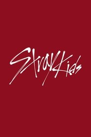 Poster SKZ-TALKER 2025