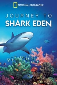 Journey to Shark Eden 2009