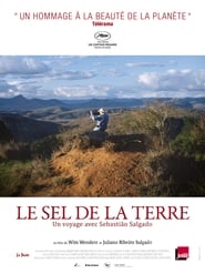 La sal de la tierra poster