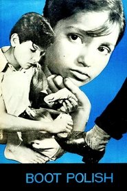 Poster Boot Polish 1954