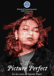 Picture Perfect (2024)