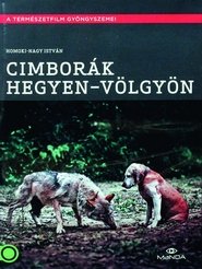 Poster Cimborák - Hegyen-völgyön 1960