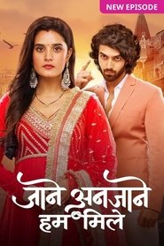 Jaane Anjaane Hum Mile (2024)