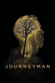 watch Journeyman now