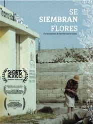 Se Siembran Flores streaming