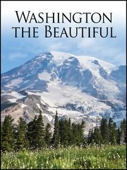 Poster Washington the Beautiful 2008
