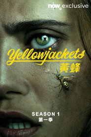 黄蜂 第 1 季 海报