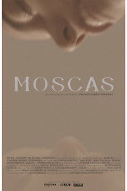 Moscas
