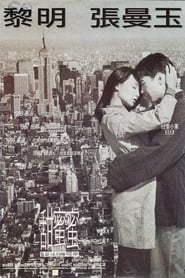 Hongkong Love Affair (1996)