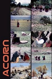 Poster Acorn 1967