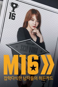 잡학다식한 남자들의 히든카드 M16 poster