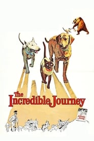 Poster The Incredible Journey 1963