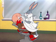 Rabbit of Seville