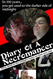 Poster Diary of a Necromancer 2017