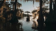 Strange Shores