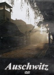 Poster Auschwitz 1991