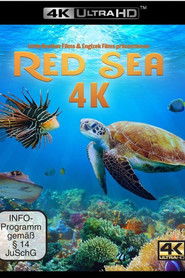 Red Sea