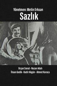 Poster Sazlık