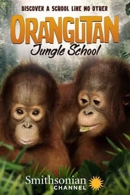 Orangutan Jungle School poster