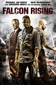 Poster for Falcon Rising