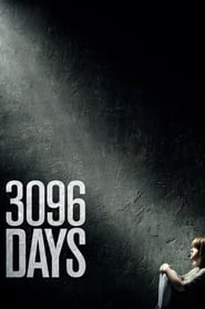 3096 днів постер