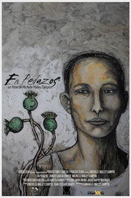En pedazos