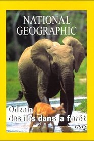 Poster National Geographic : Odzalla, des îles dans la forêt 1970