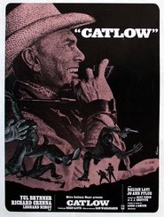 Film Catlow 1971 Norsk Tale