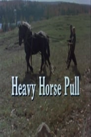 Heavy Horse Pull streaming