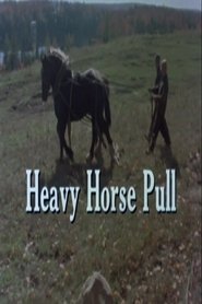Poster Heavy Horse Pull 1977