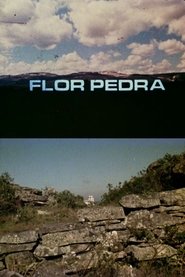 Poster Flor Pedra 1975