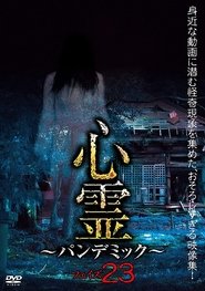 Spirit Pandemic Phase 23 (2021)